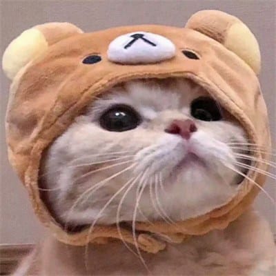 عمران خان نیازی avatar