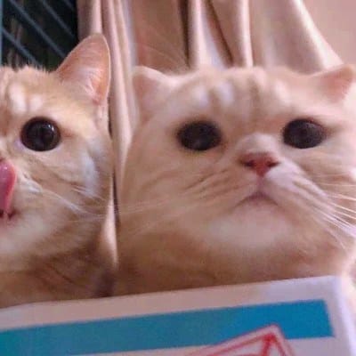 سجل علی avatar